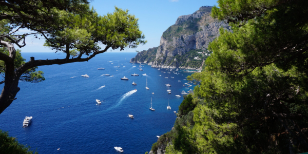 high-angle-view-sea-trees-against-blue-sky-scaled